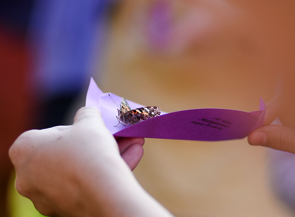 An attendee releases a butterfly